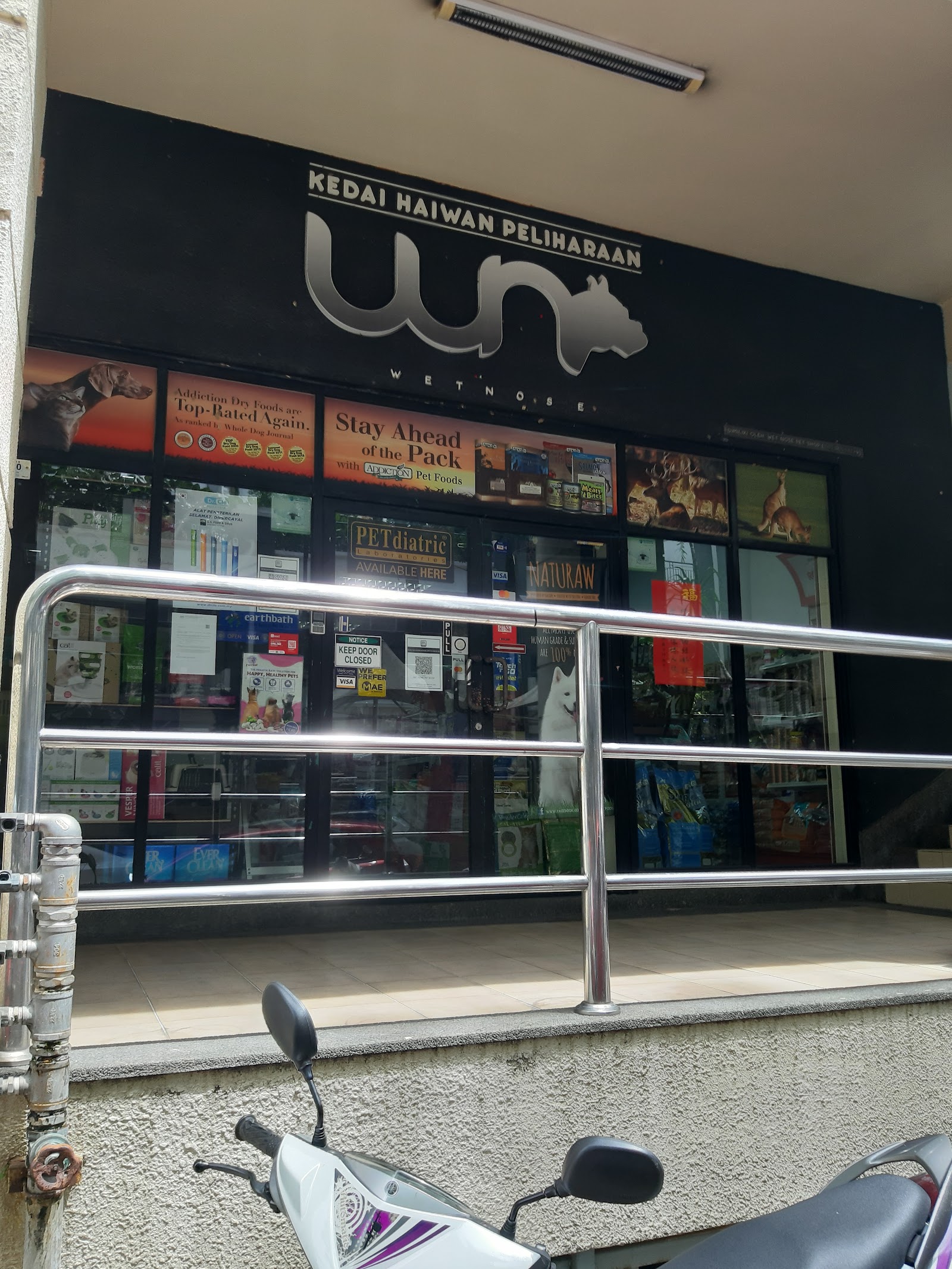 Petsarecute Damansara 3
